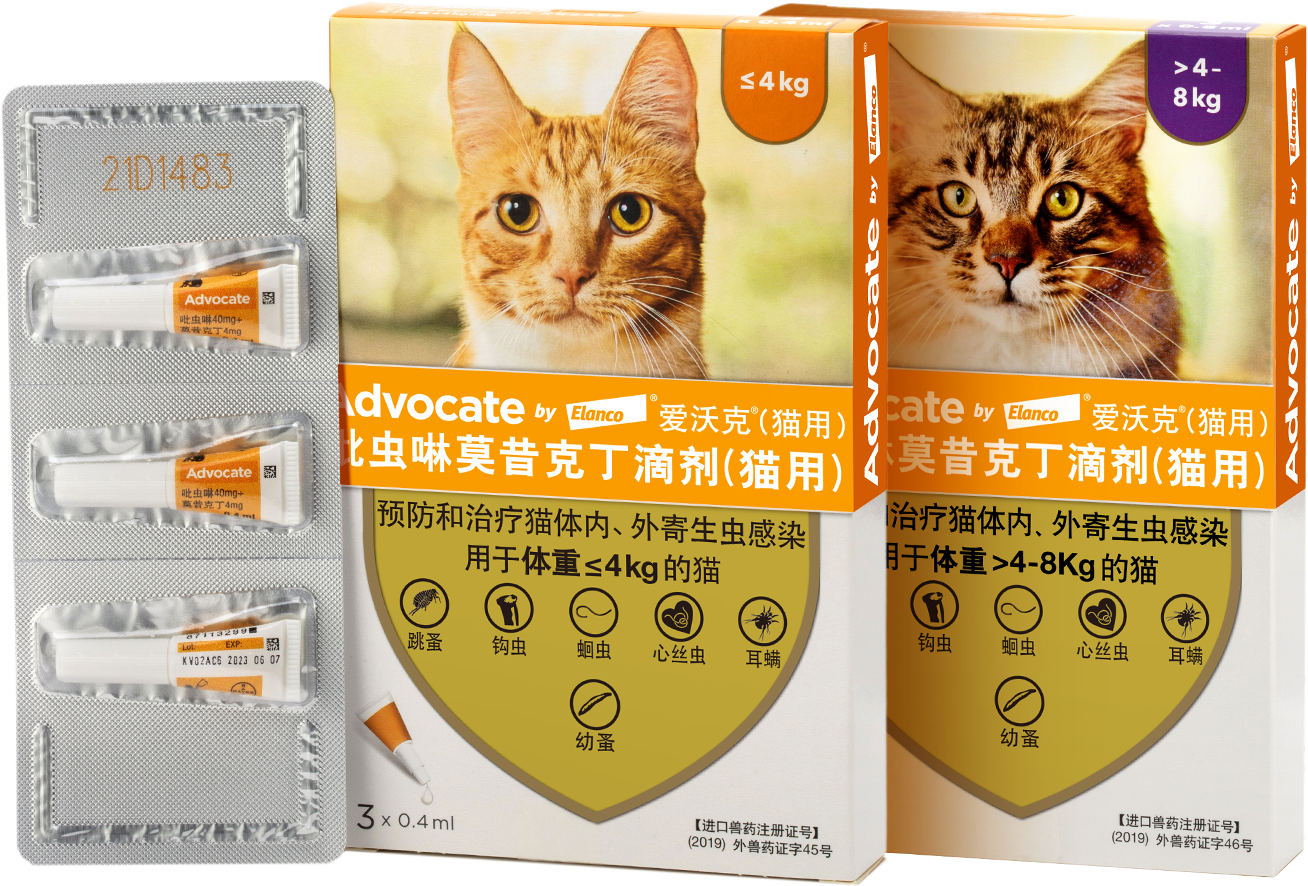 吡虫啉莫昔克丁滴剂（猫用）