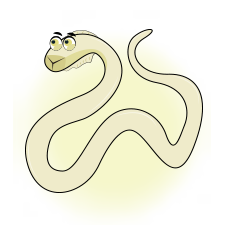 爱沃克防治跳蚤