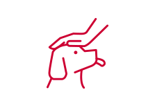 温和安全
