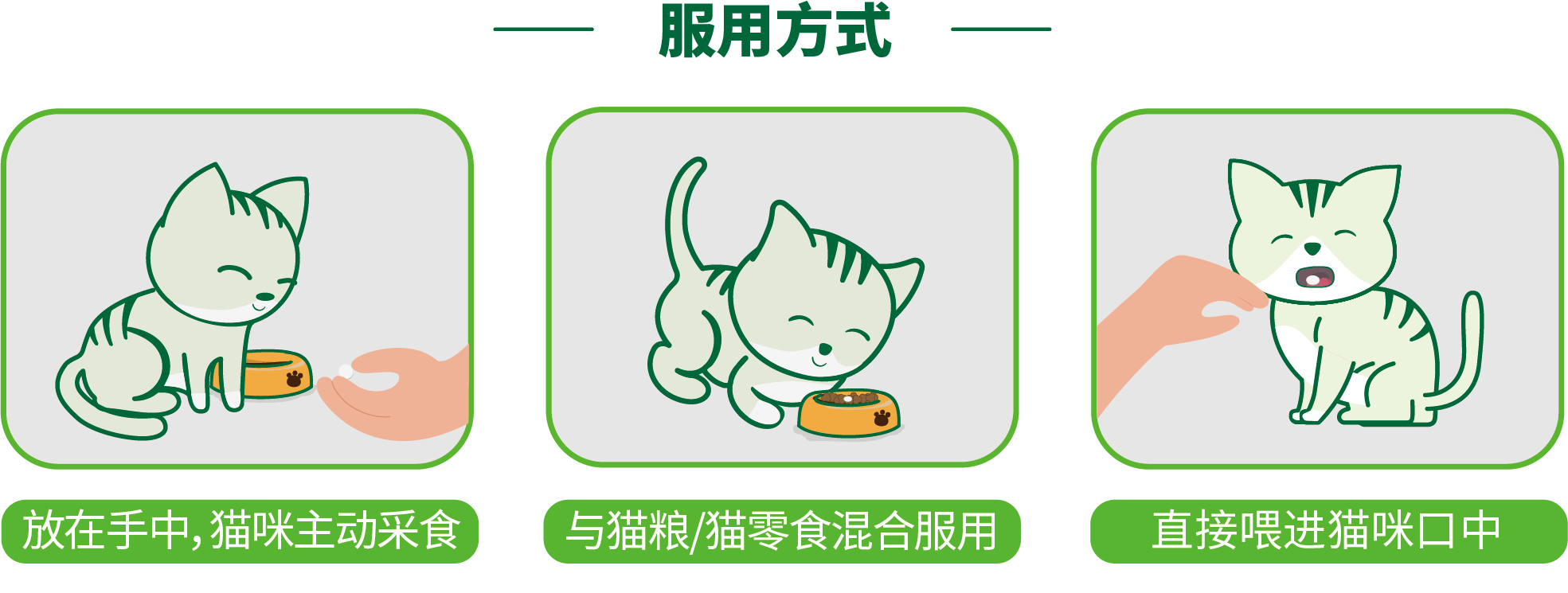 使用方式