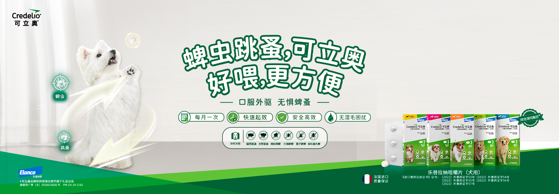 可立奥