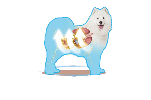 使用方法