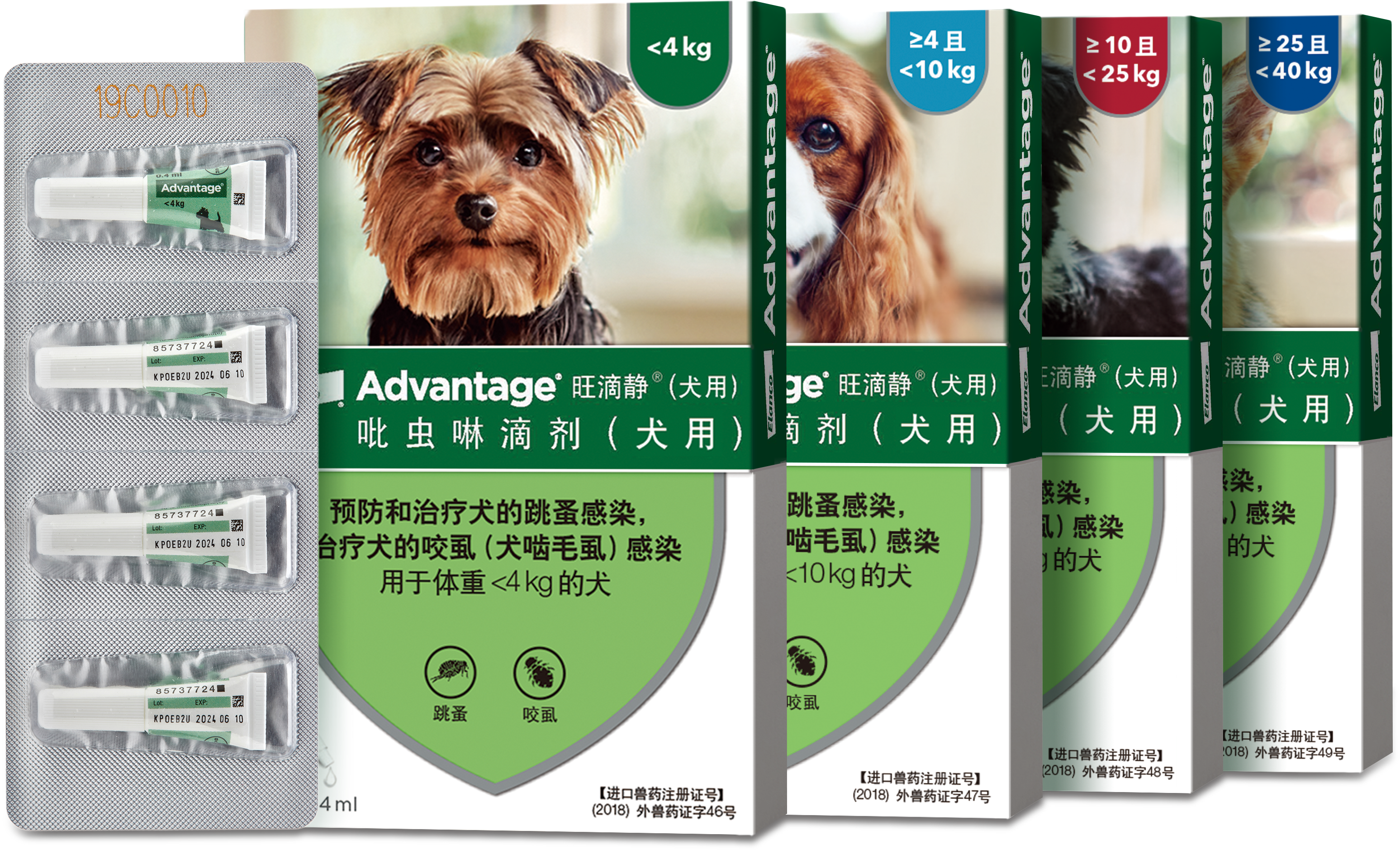 吡虫啉滴剂（猫用）